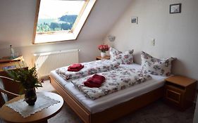 Hotel Carola